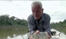 食人鱼第三部在线观看,血洗黑帮在线惊悚上映，腥风血雨再掀狂潮！
